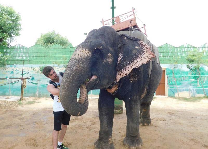 Elephant Village Safari in Jaipur
