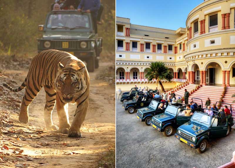 9 Days Rajasthan Wildlife Tour